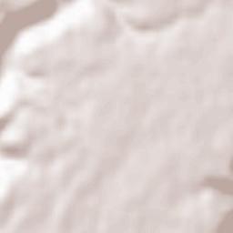 Valdegrudas Terrain Map