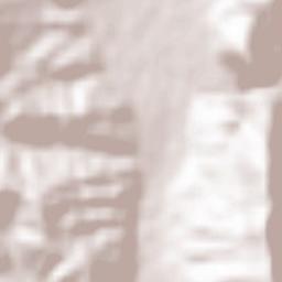 Bashkia Berat Terrain Map