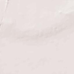 East Flatbush Terrain Map