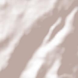 Cortiçô Terrain Map