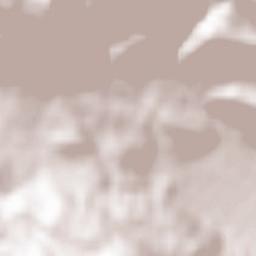 San Gregorio Magno Terrain Map