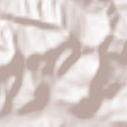 Bashkia Patos Terrain Map