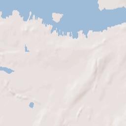 Port Richmond Terrain Map