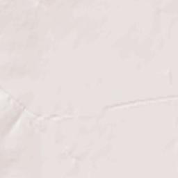 Borough Park Terrain Map