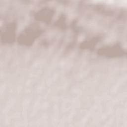 Muñopepe Terrain Map