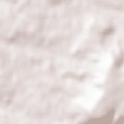 Guadalajara Terrain Map