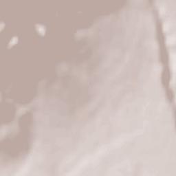 Quadrivio Terrain Map