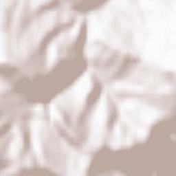 Tricarico Terrain Map