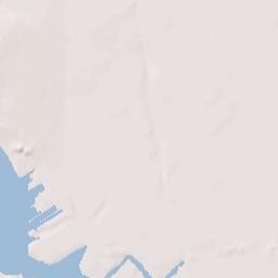 Bensonhurst Terrain Map