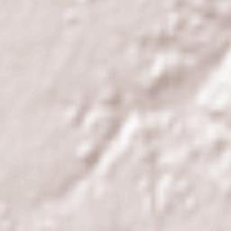 Oliveirinha Terrain Map