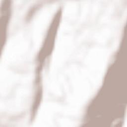 Vide Entre Vinhas Terrain Map