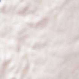 Amoreira Terrain Map