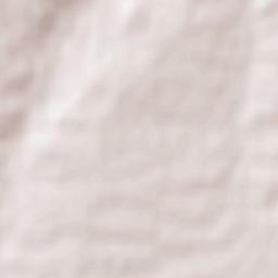 Fuentes de Oñoro Terrain Map