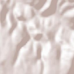 Chequilla Terrain Map