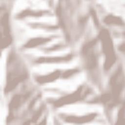 Bashkia Poliçan Terrain Map