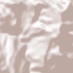 Poliçan Terrain Map