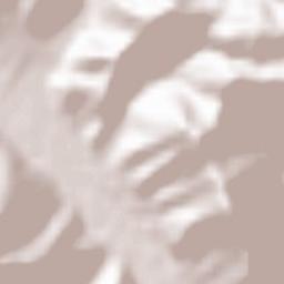 Meghradzor Terrain Map