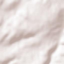 Carrapichana Terrain Map