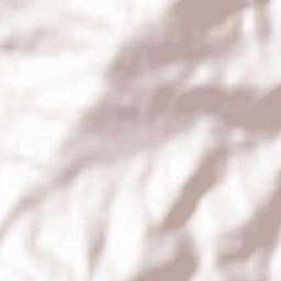 Salgueirais Terrain Map