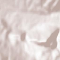 Sicignano degli Alburni Terrain Map