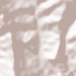 Bashkia Mallakastër Terrain Map