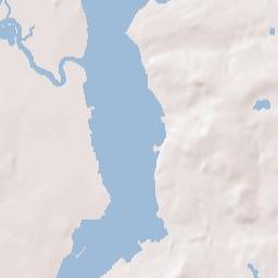 Charleston Terrain Map