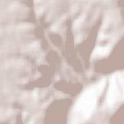 Alhóndiga Terrain Map