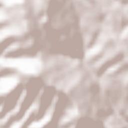 Salandra Terrain Map