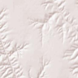 Hayes Center Terrain Map