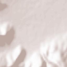 Empório Terrain Map