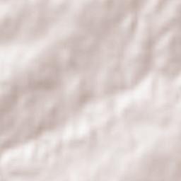 Cabanas de Viriato Terrain Map