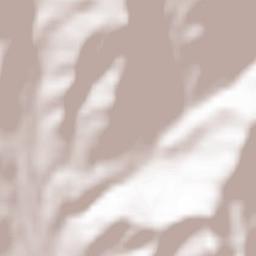 Buzhakan Terrain Map