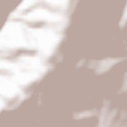 Gonçalo Terrain Map