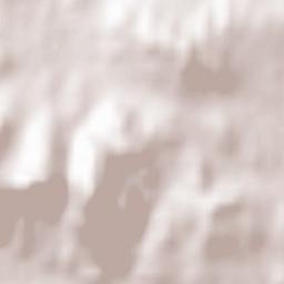 Medinilla Terrain Map