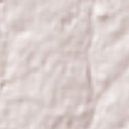 Salamanca Terrain Map