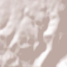 Pastrana Terrain Map