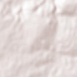 Casillas de Flores Terrain Map