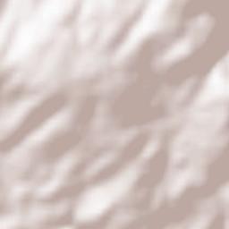 Hoyos de Miguel Muñoz Terrain Map