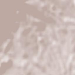 Bottidda Terrain Map