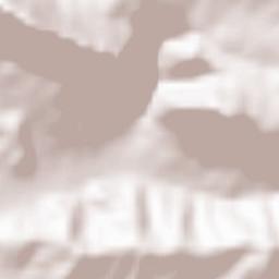 Giungano Terrain Map