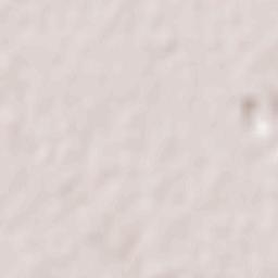 Trepuzzi Terrain Map