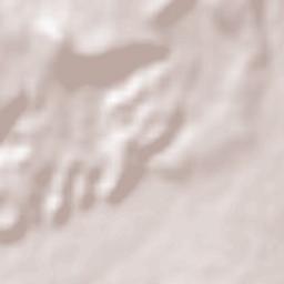 T’alin Terrain Map