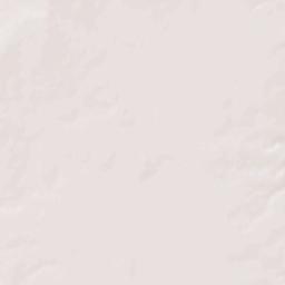 Rossville Terrain Map