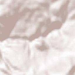 Rizómata Terrain Map