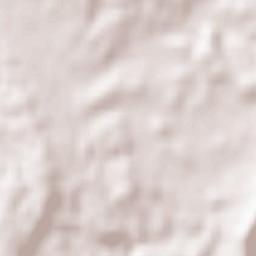 Pampilhosa do Botão Terrain Map