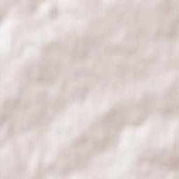 Aldeia do Bispo Terrain Map