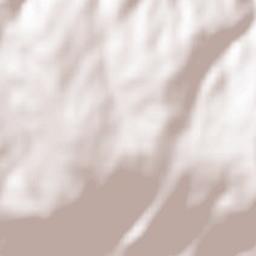 Lagunilla Terrain Map