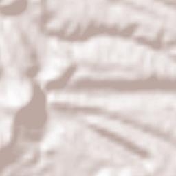 Bashkia Kolonjë Terrain Map