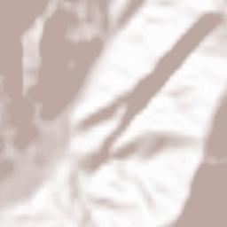 Descargamaría Terrain Map