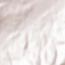 Puerto Castilla Terrain Map